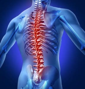 Coquitlam chiropractor - spine illustration